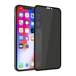 Захисне скло Apple iPhone 11 Pro Max/XS Max Doberman Privat Full Screen HD 0.26mm Black