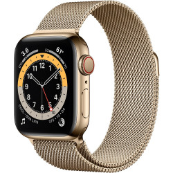 Apple Watch Series 6 GPS + Cellular 40mm Gold Stainless Steel Case with Gold Milanese Loop (M02X3, M06W3)