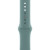 Apple Watch 42/44mm Sport Band Cactus (MXNX2)