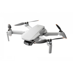 DJI Mini 2 (CP.MA.00000312.01)