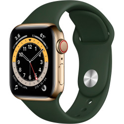 Apple Watch Series 6 GPS + Cellular 40mm Gold Stainless Steel Case with Cyprus Green Sport Band (M02W3, M06V3)