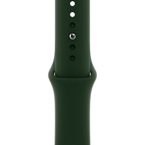 Apple Watch Series 6 GPS + Cellular 40mm Gold Stainless Steel Case with Cyprus Green Sport Band (M02W3, M06V3)
