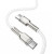 Baseus Cafule Series Metal Type-C to Type-C 1m 100W White (CATJK-C02)