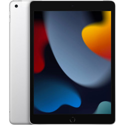 Apple iPad 10.2" (2021) Wi-Fi + Cellular 256GB Silver (MK6A3, MK4H3)