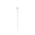 Apple USB-C to Lightning Cable 1m (MK0X2)