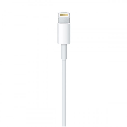 Apple Lightning to USB Cable 2m (MD819)