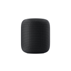 Apple HomePod Space Gray (MQHW2)