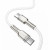 Baseus Cafule Series Metal Type-C to Type-C 2m 100W White (CATJK-D02)