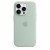 Чехол-накладка (силиконовый) для iPhone 14 Pro Silicone Case with MagSafe High Copy Succulent