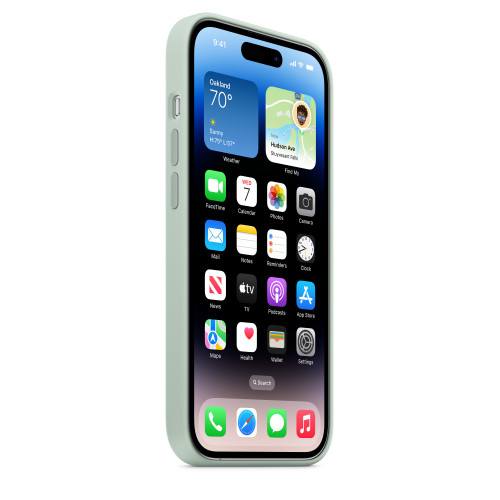 Чехол-накладка (силиконовый) для iPhone 14 Pro Silicone Case with MagSafe High Copy Succulent