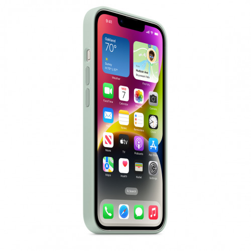 Чехол-накладка (силиконовый) для iPhone 14 Silicone Case with MagSafe High Copy Succulent
