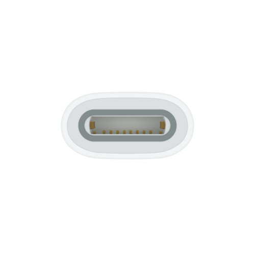 Apple USB-C to Pencil Adapter (MQLU3)