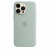 Чехол-накладка (силиконовый) для iPhone 14 Pro Max Silicone Case with MagSafe High Copy Succulent