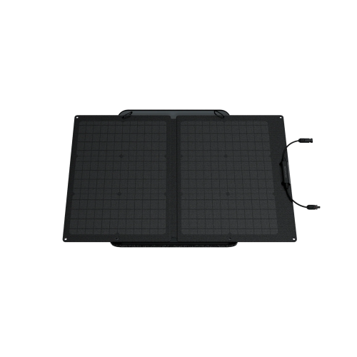 Солнечная панель EcoFlow 60W Solar Panel