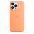 Чохол-накладка (силіконовий) Apple iPhone 15 Pro Max Silicone Case with MagSafe Orange Sorbet (MT1W3)