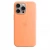 Чохол-накладка (силіконовий) Apple iPhone 15 Pro Max Silicone Case with MagSafe Orange Sorbet (MT1W3)