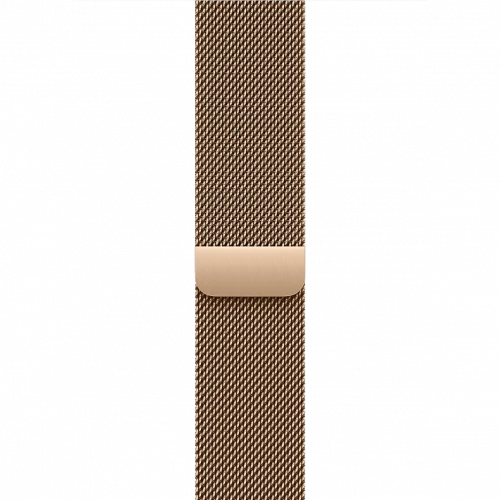 Apple Watch Series 10 GPS + Cellular 42mm Gold Titanium Case w. Gold Milanese Loop (MX083)