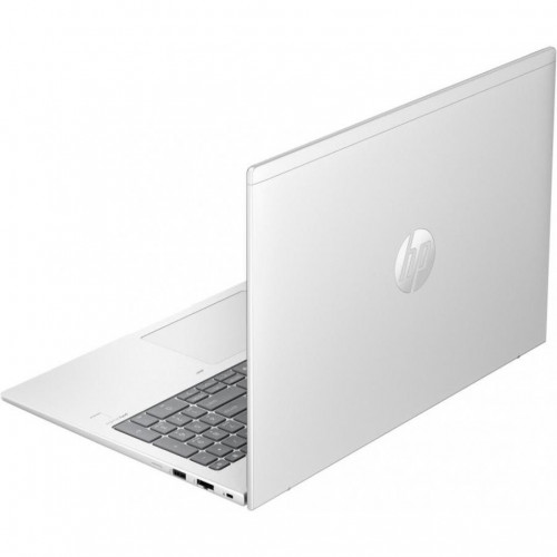 HP ProBook 465 G11 Pike Silver (901H6AV_V3)