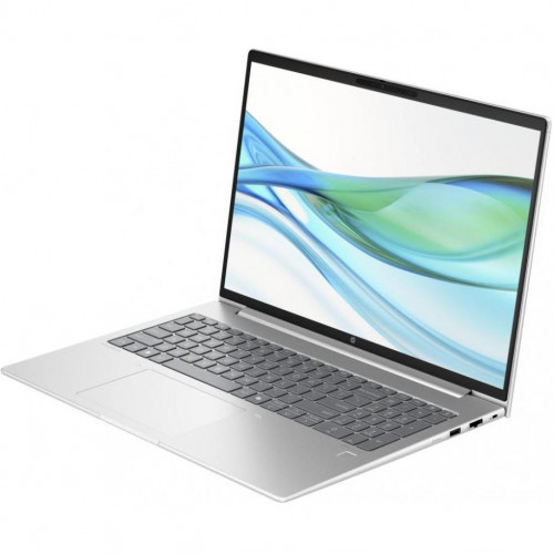 HP ProBook 465 G11 Pike Silver (901H6AV_V4)