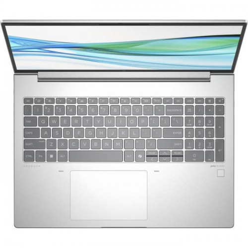 HP ProBook 465 G11 Pike Silver (901H2AV_V2)