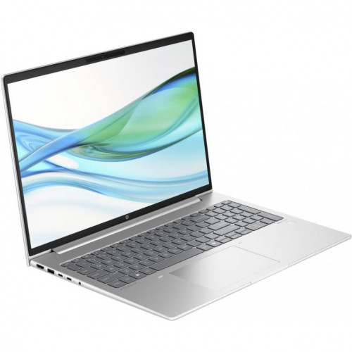 HP ProBook 465 G11 Pike Silver (901H4AV_V3)