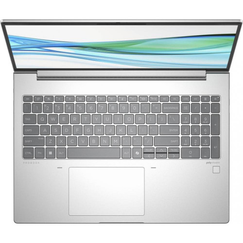 HP ProBook 465 G11 Pike Silver (901H4AV_V3)