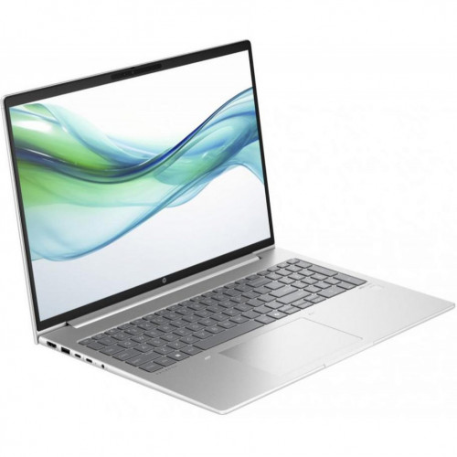 HP ProBook 460 G11 Pike Silver (8Z675AV_V4)