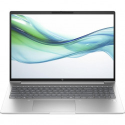 HP ProBook 465 G11 Pike Silver (901H6AV_V2)
