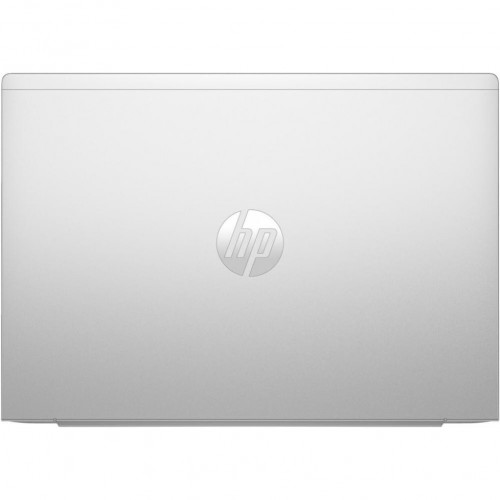 HP ProBook 465 G11 Pike Silver (901H6AV_V2)
