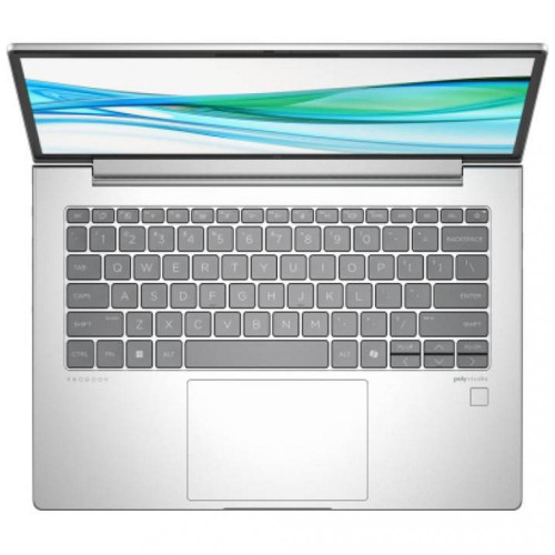 HP ProBook 445 G11 Pike Silver (8Z9P8AV_V3)