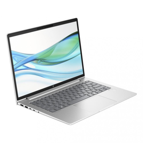 HP ProBook 445 G11 Pike Silver (8Z9P8AV_V2)