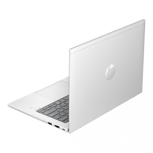 HP ProBook 445 G11 Pike Silver (8Z9P8AV_V2)