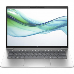 HP ProBook 445 G11 Pike Silver (8Z9P6AV_V2)