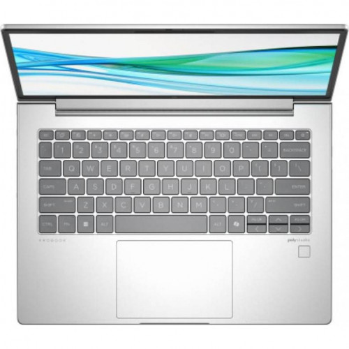 HP ProBook 445 G11 Pike Silver (8Z9P6AV_V2)