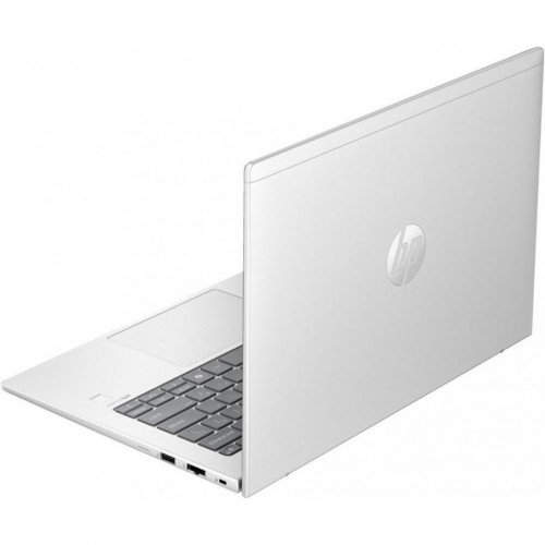 HP ProBook 445 G11 Pike Silver (8Z9P6AV_V2)