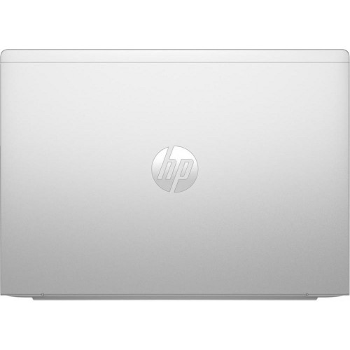 HP ProBook 445 G11 Pike Silver (8Z9P6AV_V2)