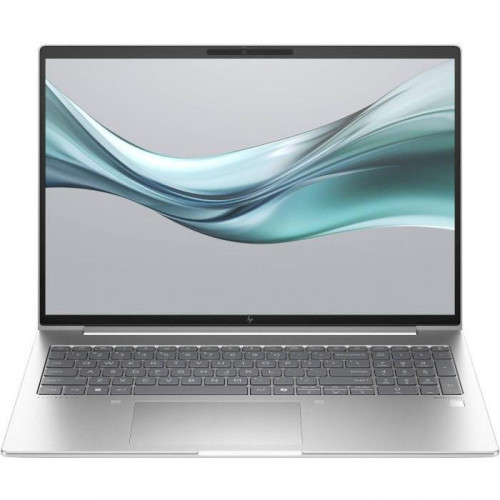 HP EliteBook 665 G11 Silver (8Z715AV_V3)