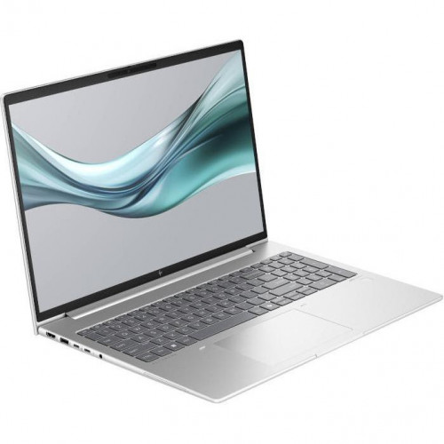 HP EliteBook 665 G11 Silver (8Z715AV_V3)