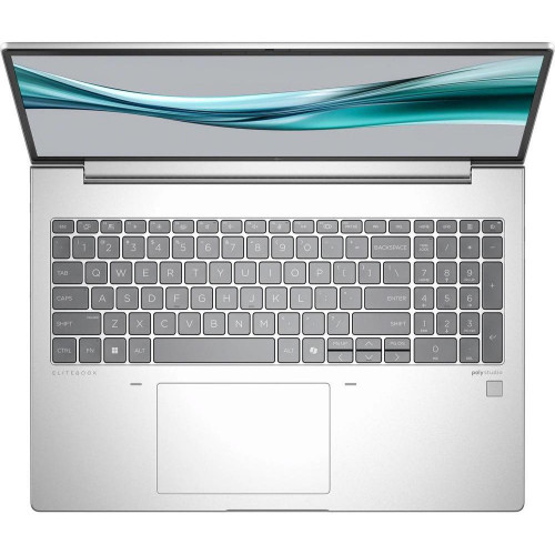 HP EliteBook 665 G11 Silver (8Z715AV_V2)
