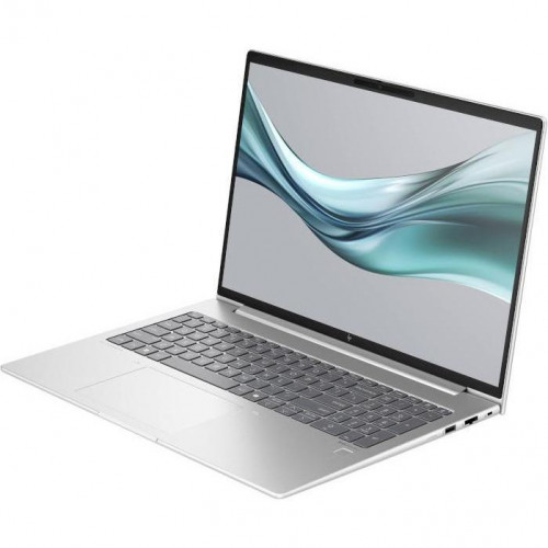 HP EliteBook 665 G11 Silver (8Z719AV_V1)