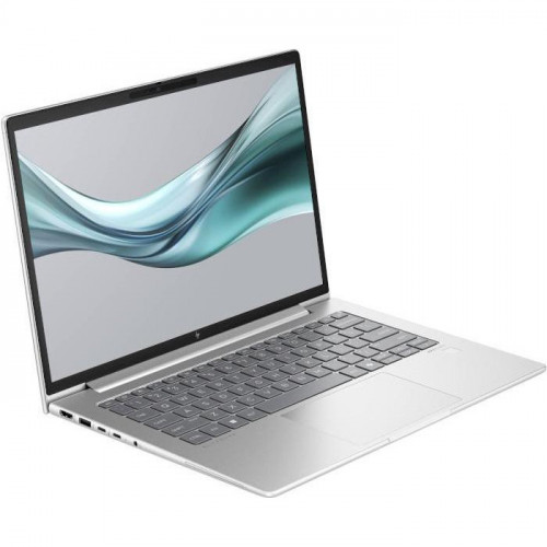 HP EliteBook 645 G11 Silver (8Z3N3AV_V3)