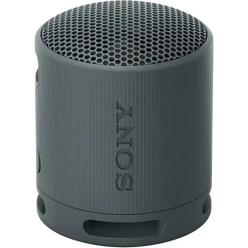 Sony SRS-XB100 Black (SRSXB100B)