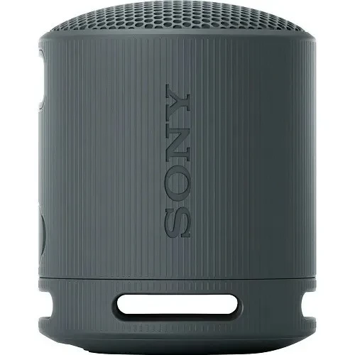 Sony SRS-XB100 Black (SRSXB100B)