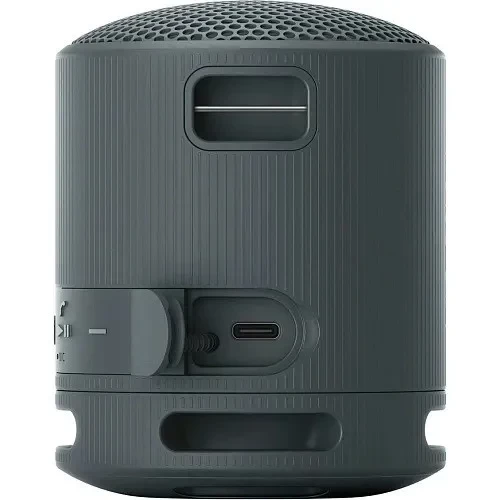 Sony SRS-XB100 Black (SRSXB100B)