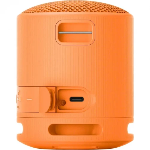 Sony SRS-XB100 Orange (SRSXB100D)