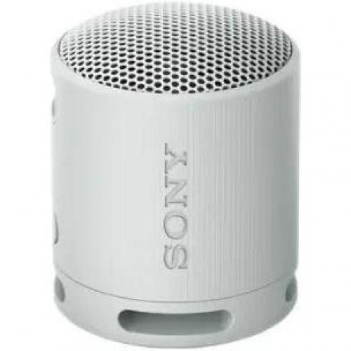 Sony SRS-XB100 Grey (SRSXB100H.CE7)