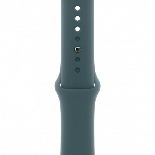 Apple Watch Series 10 GPS 46mm Silver Aluminum Case w. Lake Green Sport Band - M/L (MWX03+MXLR3)