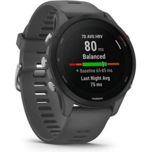 Garmin Forerunner 255 Slate Gray (010-02641-00/10/43)