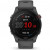 Garmin Forerunner 255 Slate Gray (010-02641-00/10/43)