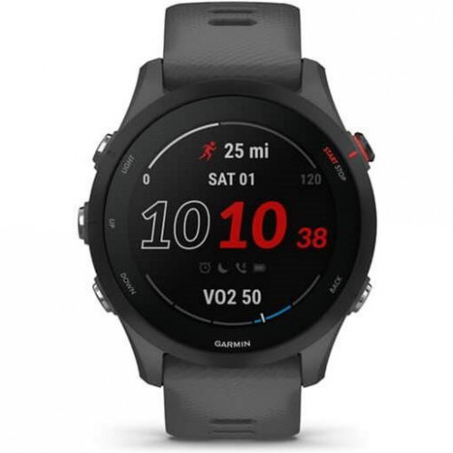 Garmin Forerunner 255 Slate Gray (010-02641-00/10/43)